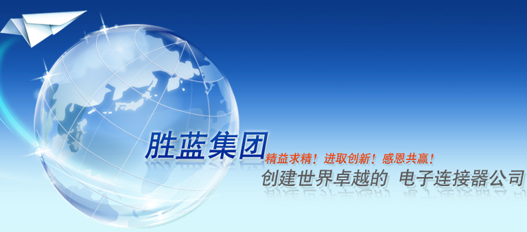 东莞市胜蓝电子有限公司